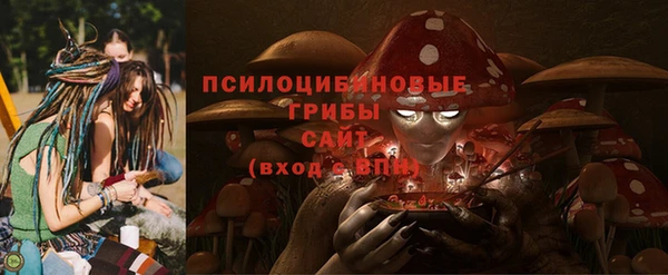 эйфоретик Михайловка
