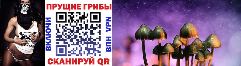 Псилоцибиновые грибы мухоморы  MEGA зеркало  площадка официальный сайт  Гагарин 