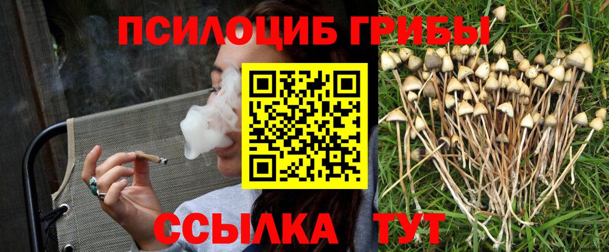 Галлюциногенные грибы MAGIC MUSHROOMS Гагарин