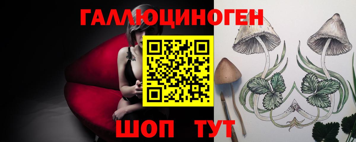 Гагарин  Галлюциногенные грибы Psilocybine cubensis  Галлюциногенные грибы Magic Shrooms  Вход с VPN 