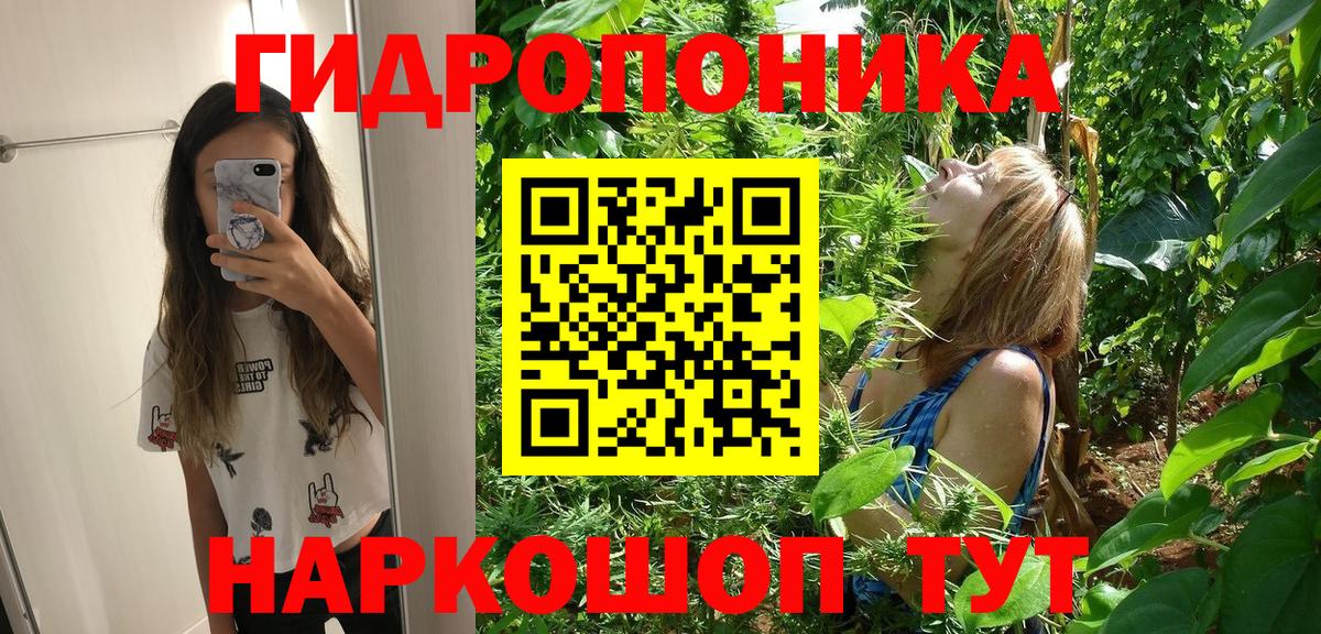 Конопля ГИДРОПОН  Гагарин  Бошки марихуана семена 